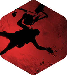 短信电话云轰炸